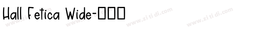 Hall Fetica Wide字体转换 Hall Fetica Wide字体转换